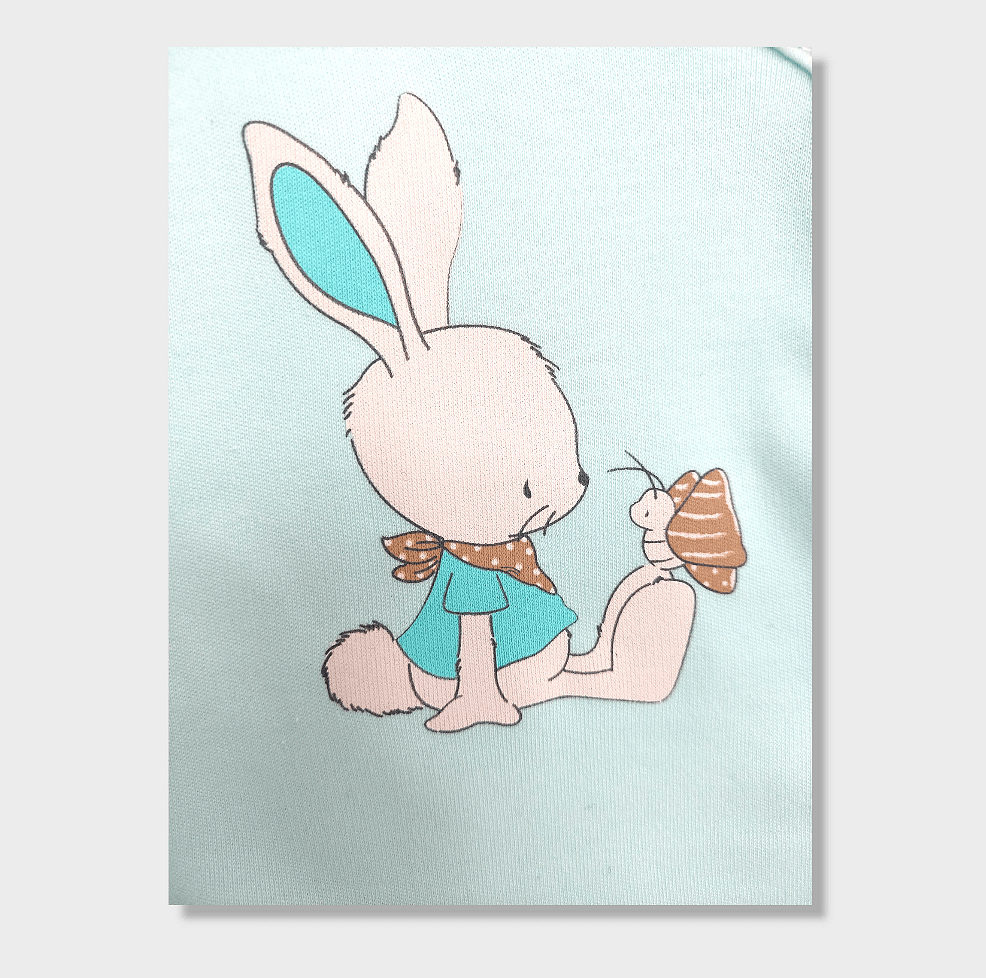 Rainy Бебешки комплект от 5 части Rabbit and butterfly 56-62 см. резеда